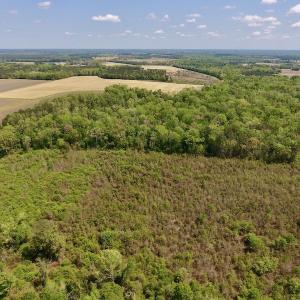 Photo #9 of SOLD property in Off Lewis Haddock Road , Grifton, NC 46.7 acres