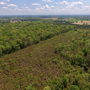 Photo #10 of SOLD property in Off Lewis Haddock Road , Grifton, NC 46.7 acres