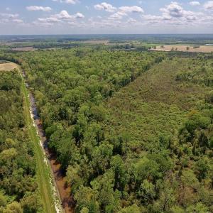 Photo #12 of SOLD property in Off Lewis Haddock Road , Grifton, NC 46.7 acres