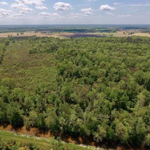 Photo #13 of SOLD property in Off Lewis Haddock Road , Grifton, NC 46.7 acres