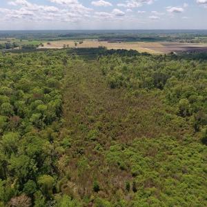 Photo #15 of SOLD property in Off Lewis Haddock Road , Grifton, NC 46.7 acres