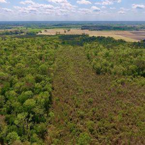 Photo #16 of SOLD property in Off Lewis Haddock Road , Grifton, NC 46.7 acres