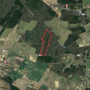 Photo #2 of SOLD property in Off Lewis Haddock Road , Grifton, NC 46.7 acres