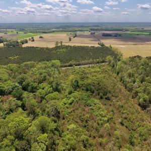 Photo #19 of SOLD property in Off Lewis Haddock Road , Grifton, NC 46.7 acres
