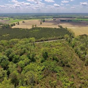 Photo #20 of SOLD property in Off Lewis Haddock Road , Grifton, NC 46.7 acres