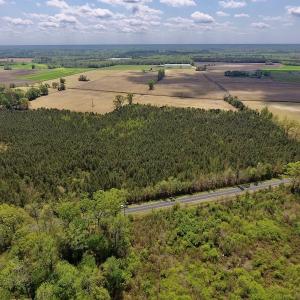 Photo #21 of SOLD property in Off Lewis Haddock Road , Grifton, NC 46.7 acres