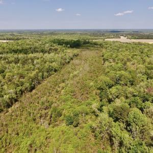 Photo #22 of SOLD property in Off Lewis Haddock Road , Grifton, NC 46.7 acres