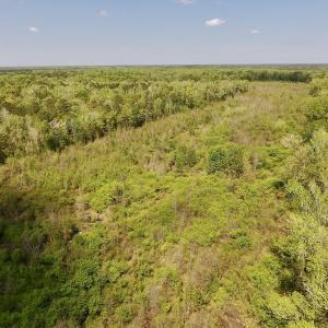 Photo #24 of SOLD property in Off Lewis Haddock Road , Grifton, NC 46.7 acres