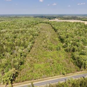 Photo #3 of SOLD property in Off Lewis Haddock Road , Grifton, NC 46.7 acres