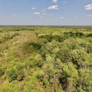 Photo #26 of SOLD property in Off Lewis Haddock Road , Grifton, NC 46.7 acres