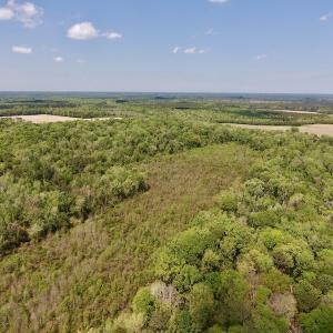 Photo #27 of SOLD property in Off Lewis Haddock Road , Grifton, NC 46.7 acres
