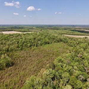 Photo #28 of SOLD property in Off Lewis Haddock Road , Grifton, NC 46.7 acres