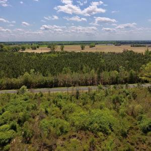 Photo #29 of SOLD property in Off Lewis Haddock Road , Grifton, NC 46.7 acres