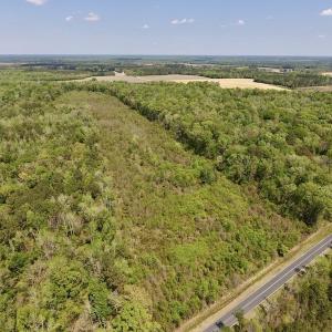 Photo #4 of SOLD property in Off Lewis Haddock Road , Grifton, NC 46.7 acres