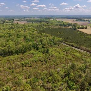 Photo #6 of SOLD property in Off Lewis Haddock Road , Grifton, NC 46.7 acres