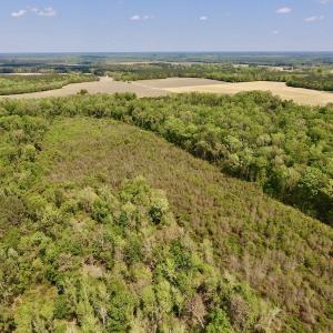 Photo #7 of SOLD property in Off Lewis Haddock Road , Grifton, NC 46.7 acres
