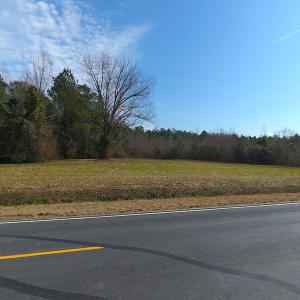 Photo #4 of SOLD property in 1975 Old Tram Road, Whiteville , NC 78.0 acres