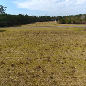 Photo #5 of SOLD property in 1975 Old Tram Road, Whiteville , NC 78.0 acres