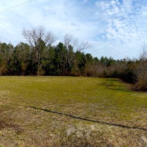 Photo #8 of SOLD property in 1975 Old Tram Road, Whiteville , NC 78.0 acres