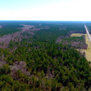 Photo #9 of SOLD property in 1975 Old Tram Road, Whiteville , NC 78.0 acres