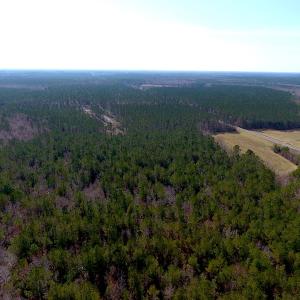 Photo #10 of SOLD property in 1975 Old Tram Road, Whiteville , NC 78.0 acres