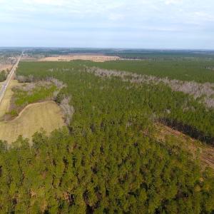 Photo #11 of SOLD property in 1975 Old Tram Road, Whiteville , NC 78.0 acres