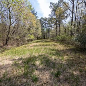 Photo #10 of SOLD property in Off Campground Road , Dunn , NC 14.9 acres