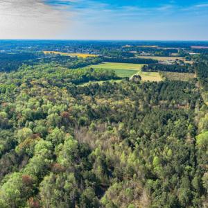 Photo #14 of SOLD property in Off Campground Road , Dunn , NC 14.9 acres