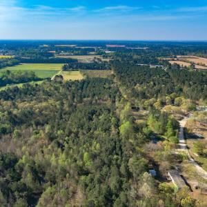 Photo #15 of SOLD property in Off Campground Road , Dunn , NC 14.9 acres