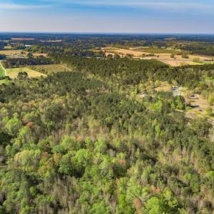 Photo #18 of SOLD property in Off Campground Road , Dunn , NC 14.9 acres