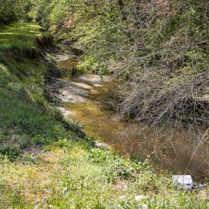 Photo #7 of SOLD property in Off Campground Road , Dunn , NC 14.9 acres
