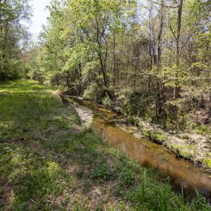 Photo #8 of SOLD property in Off Campground Road , Dunn , NC 14.9 acres