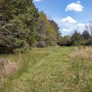 Photo #9 of SOLD property in Off Campground Road , Dunn , NC 14.9 acres