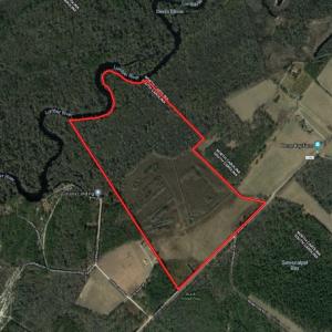 Photo #1 of SOLD property in Causey Rd, Nichols, SC 167.5 acres