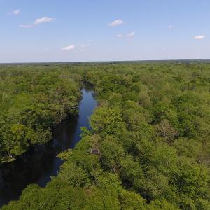 Photo #2 of SOLD property in Causey Rd, Nichols, SC 167.5 acres