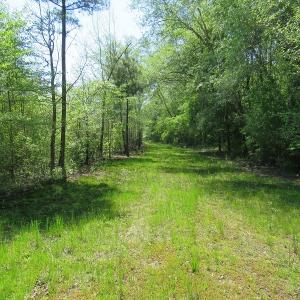 Photo #12 of SOLD property in Causey Rd, Nichols, SC 167.5 acres