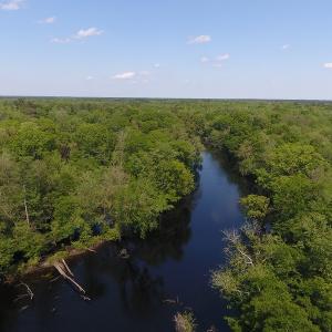 Photo #14 of SOLD property in Causey Rd, Nichols, SC 167.5 acres