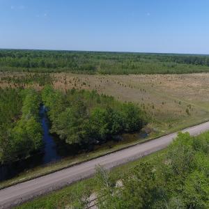 Photo #15 of SOLD property in Causey Rd, Nichols, SC 167.5 acres