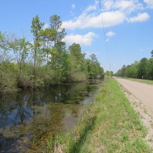 Photo #16 of SOLD property in Causey Rd, Nichols, SC 167.5 acres