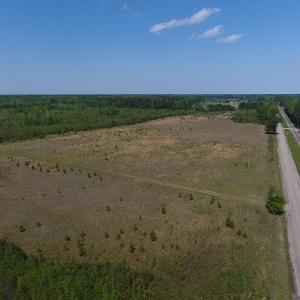 Photo #18 of SOLD property in Causey Rd, Nichols, SC 167.5 acres