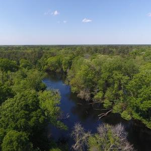 Photo #3 of SOLD property in Causey Rd, Nichols, SC 167.5 acres