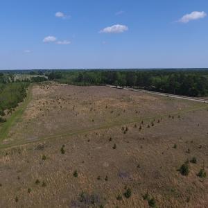 Photo #5 of SOLD property in Causey Rd, Nichols, SC 167.5 acres