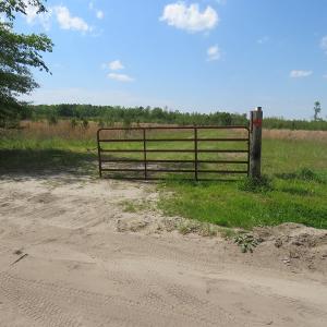 Photo #7 of SOLD property in Causey Rd, Nichols, SC 167.5 acres