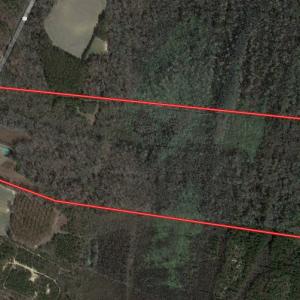 Photo #1 of SOLD property in 3422 SC 41, Mullins, SC 111.0 acres