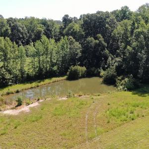 Photo #3 of SOLD property in 3422 SC 41, Mullins, SC 111.0 acres