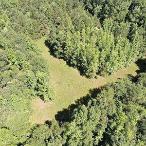 Photo #4 of SOLD property in 3422 SC 41, Mullins, SC 111.0 acres