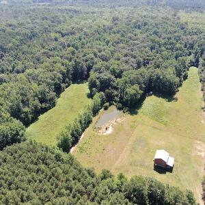 Photo #5 of SOLD property in 3422 SC 41, Mullins, SC 111.0 acres