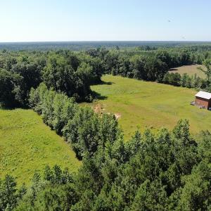 Photo #6 of SOLD property in 3422 SC 41, Mullins, SC 111.0 acres