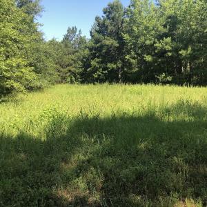 Photo #23 of SOLD property in 3422 SC 41, Mullins, SC 111.0 acres