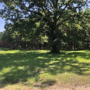 Photo #24 of SOLD property in 3422 SC 41, Mullins, SC 111.0 acres